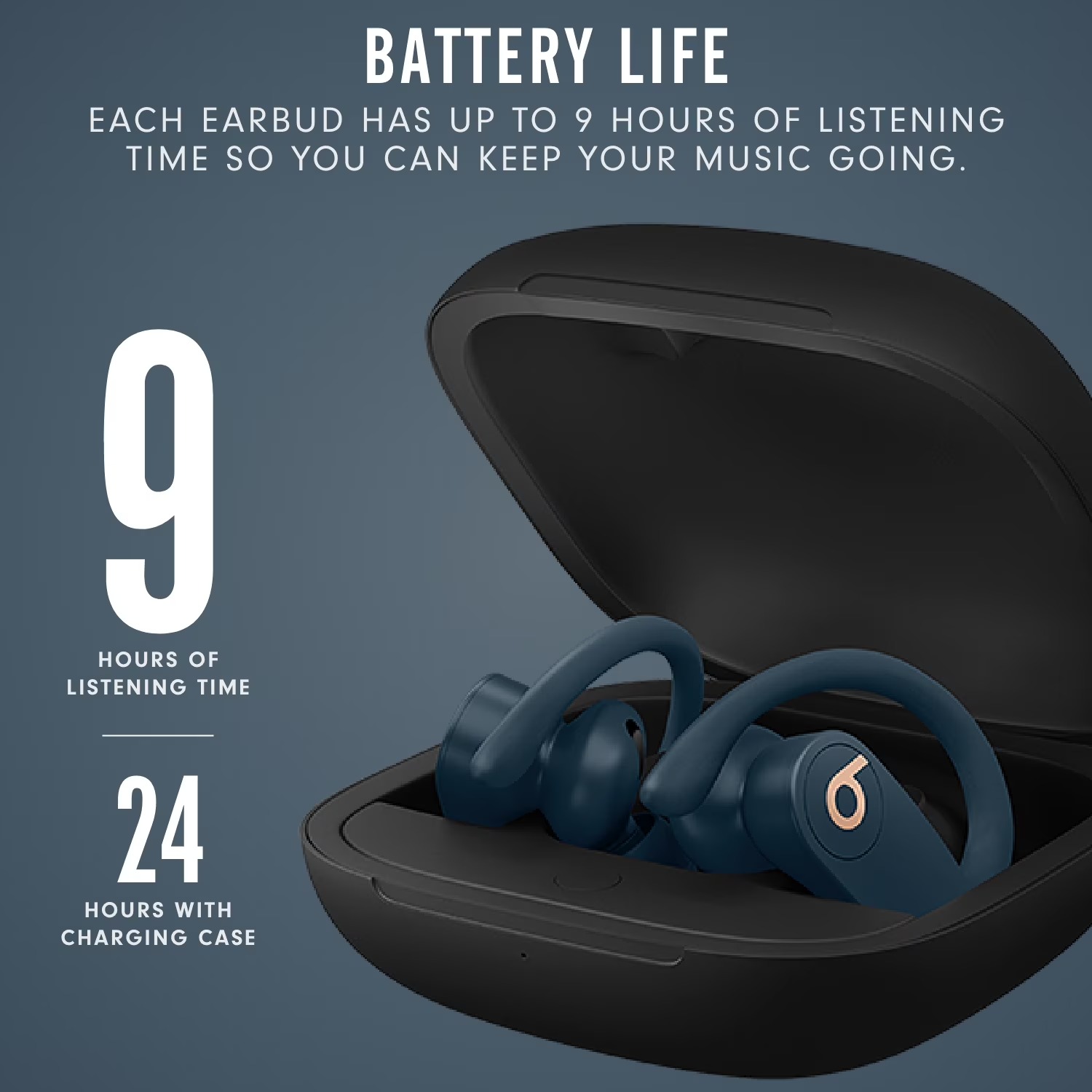 Beats Powerbeats Pro In-Ear-Ko – Beats Headphone Powerbeats Pro Bewertung und Preis